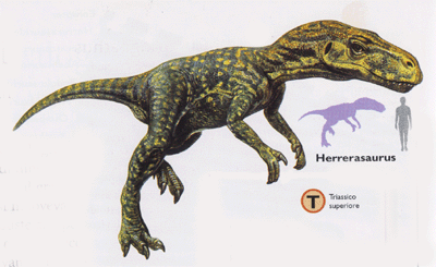 Herrerasaurus.gif